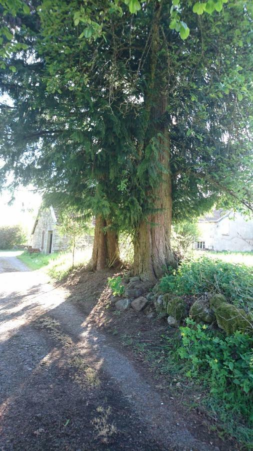 Ferme De La Grange Du Bas Villa Saint-Bresson Luaran gambar